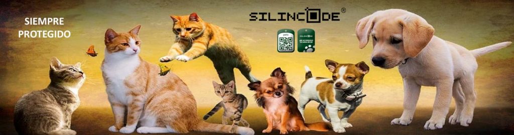 Placa Qr Mascotas silincode identifica tu mascta y contacto del dueño