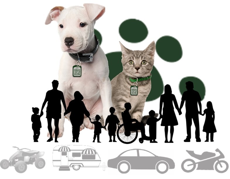 silincode Mascotas, Familia y Vehiculos